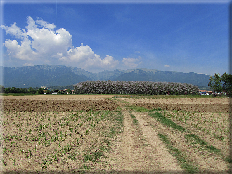 foto Paesaggi tra i Colli